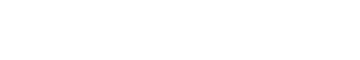 Our software infrastructure